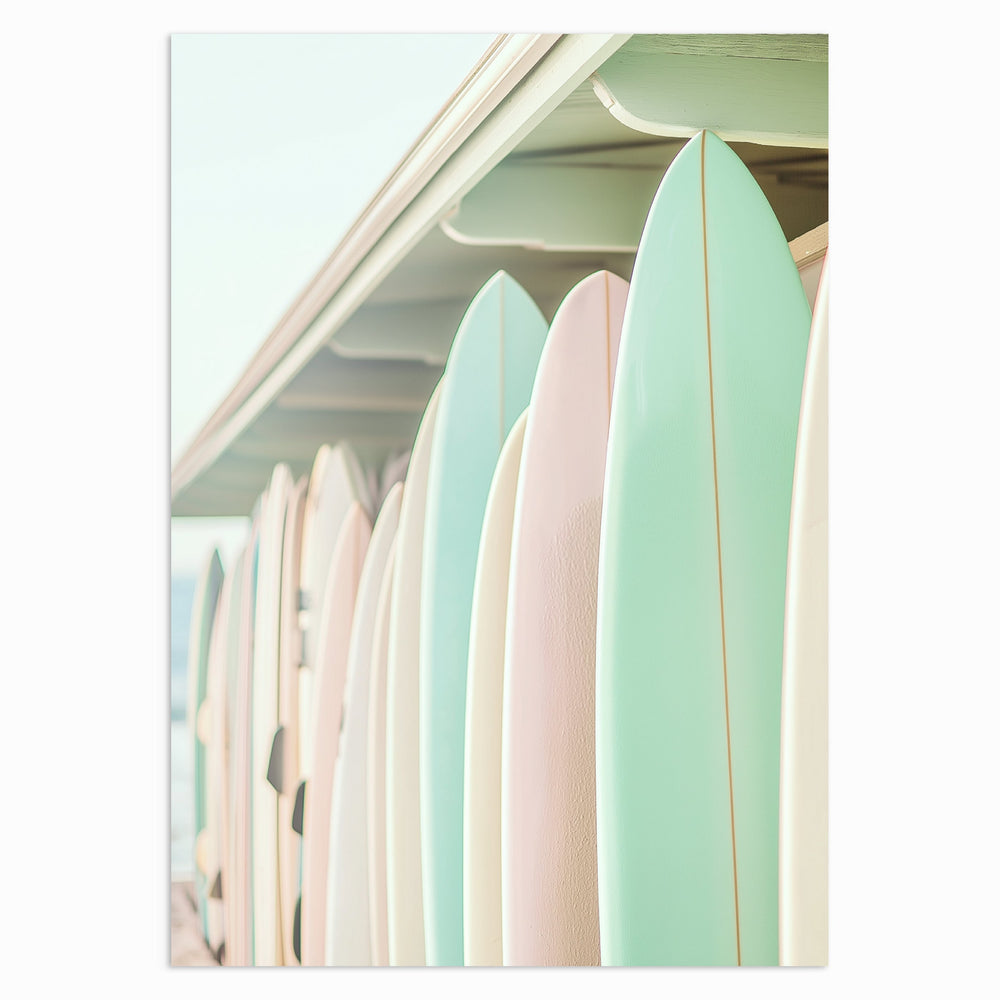 Surfboard Line-Up