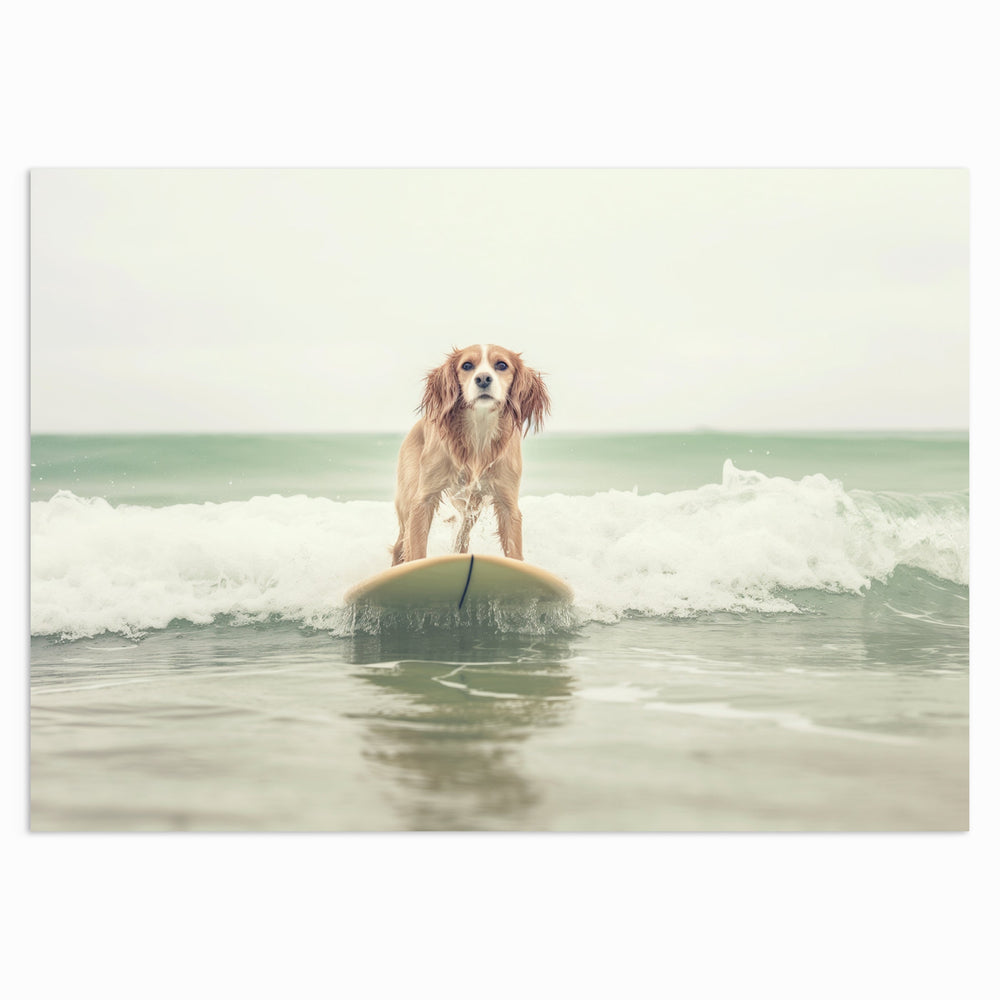 Surfing Soulmate