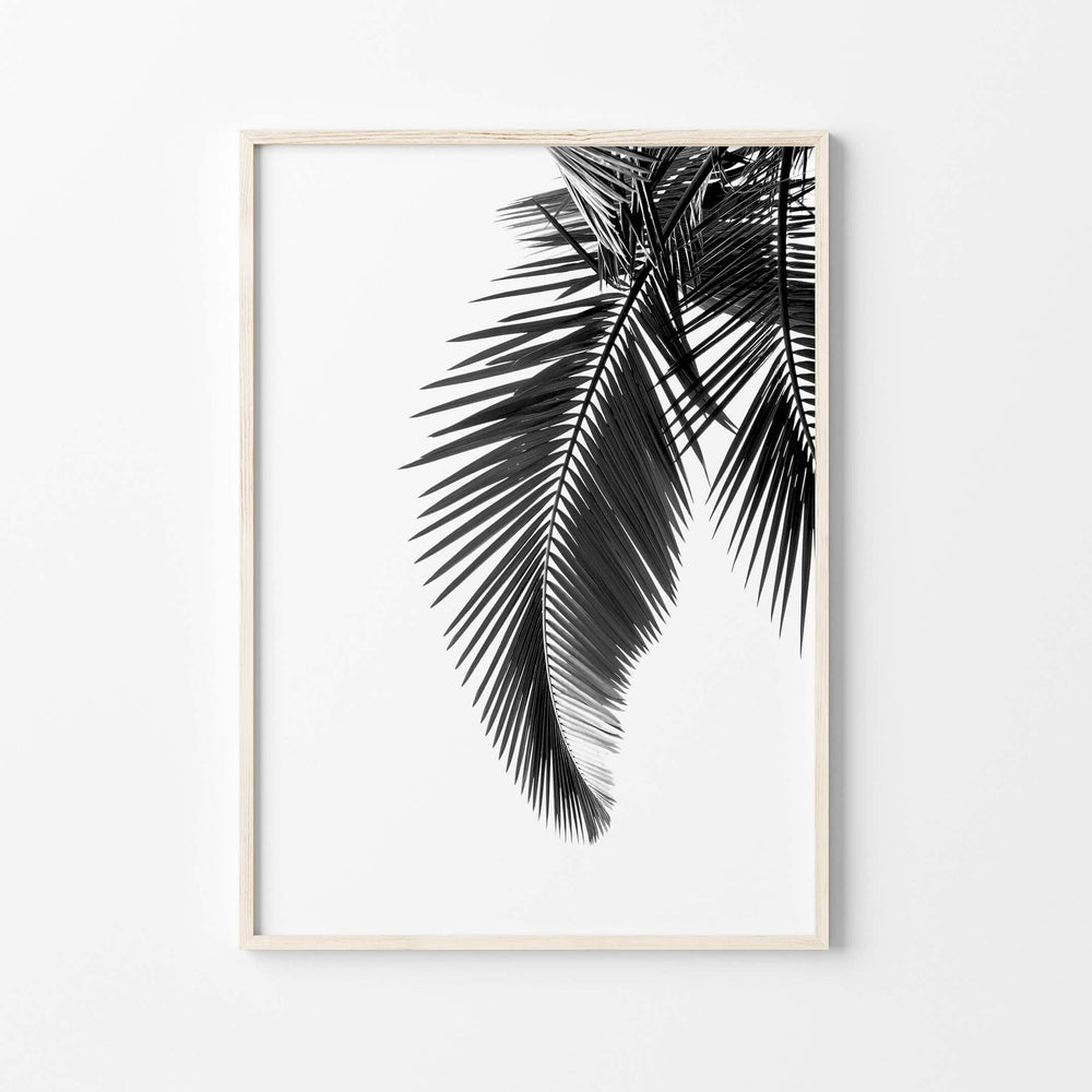 Black and white Palm Leaf Wall Art Print