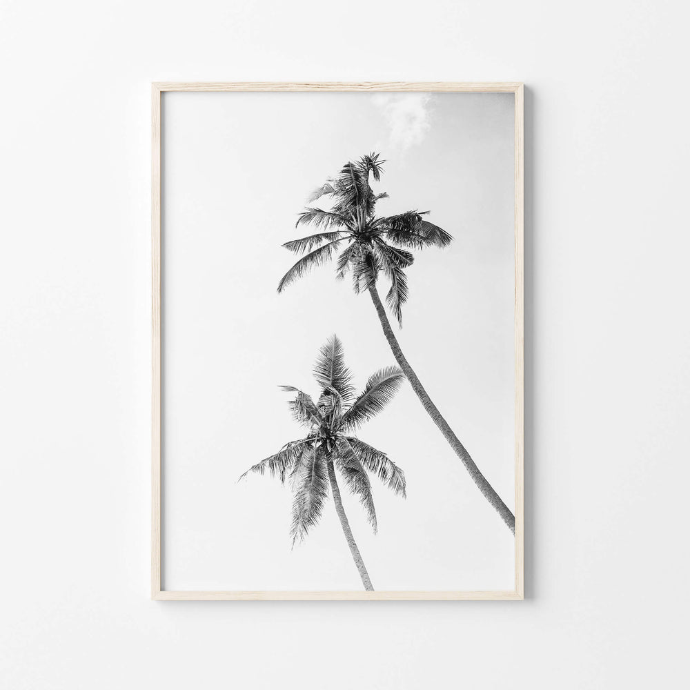 Black and White Palm Print