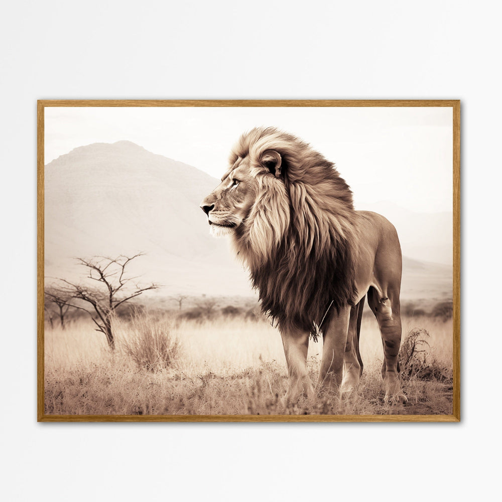 Majestic lion