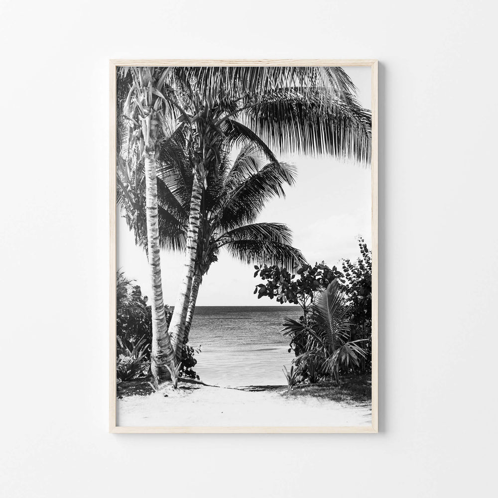 Palm Beach Art Print