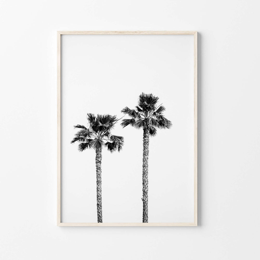 Palm Wall Art