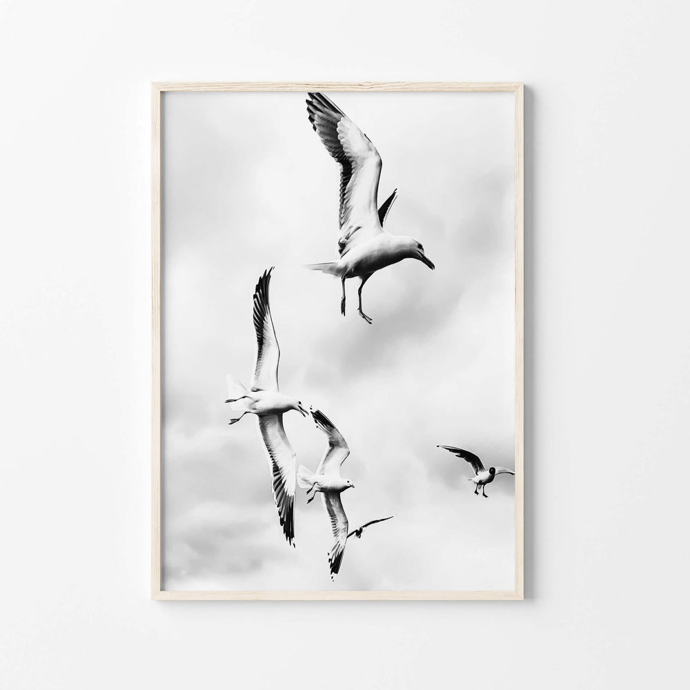 Seagulls wall art print