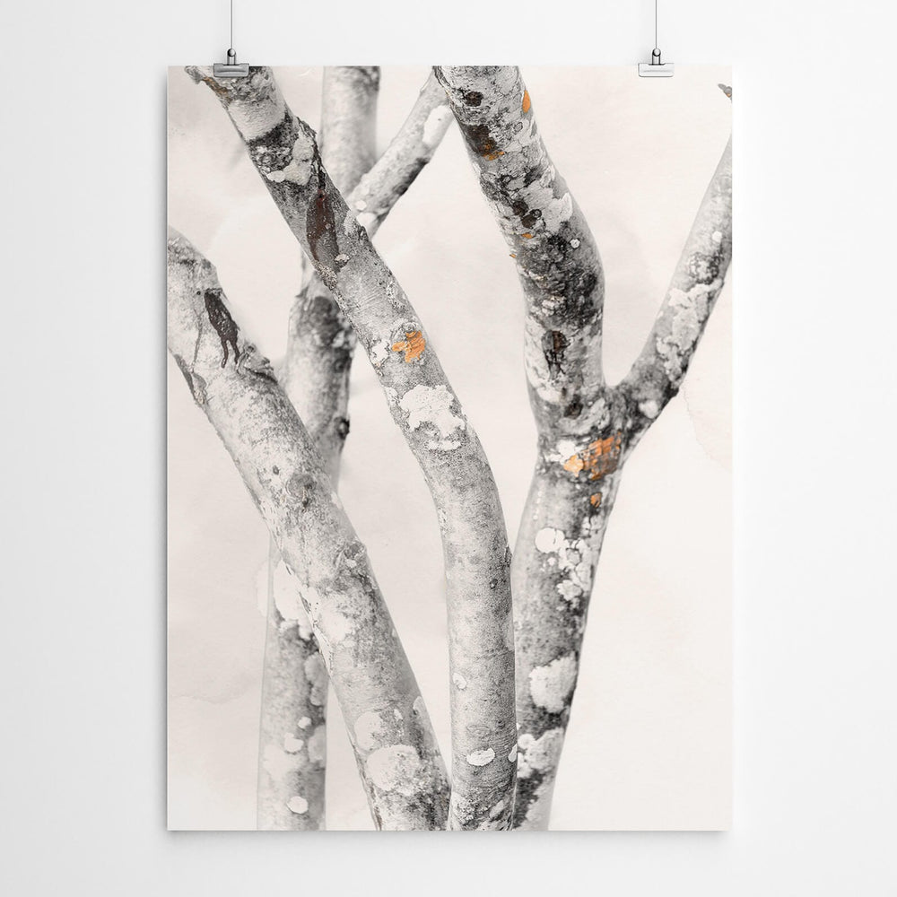 Subtel Tree Branch Print