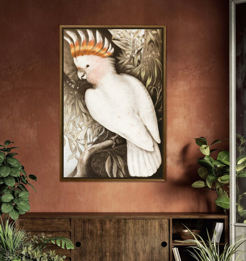 Vintage Parrot Art Print