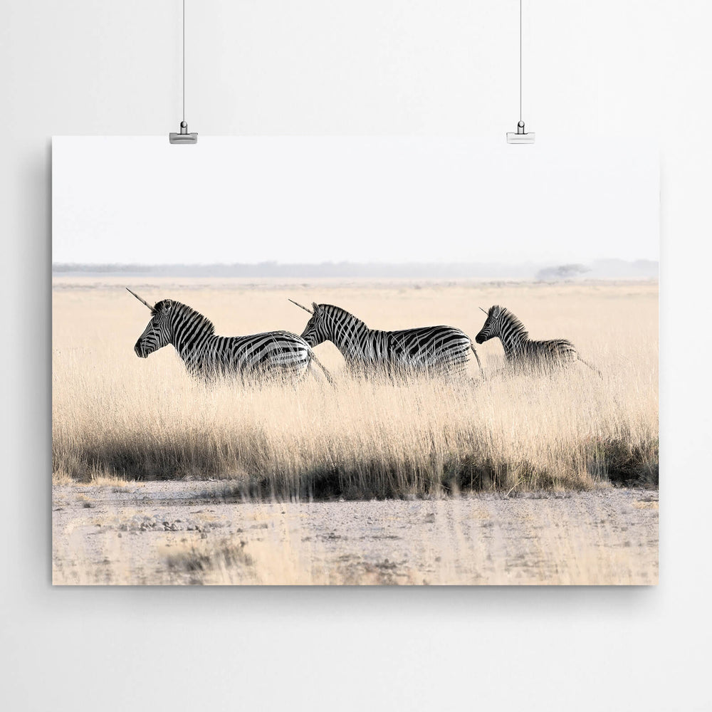 Zebra Unicorns Wall Art