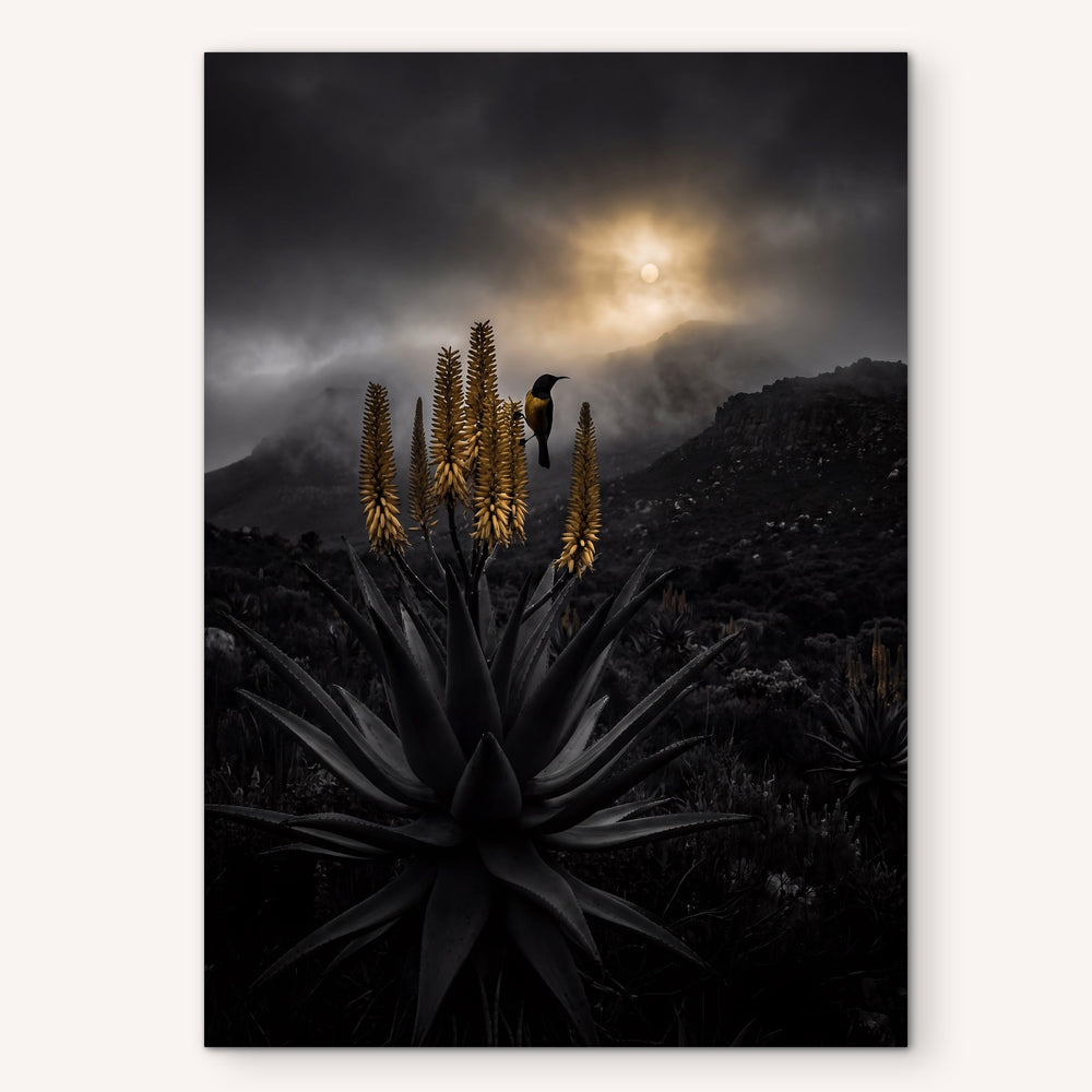 Desert Bloom Under Storm