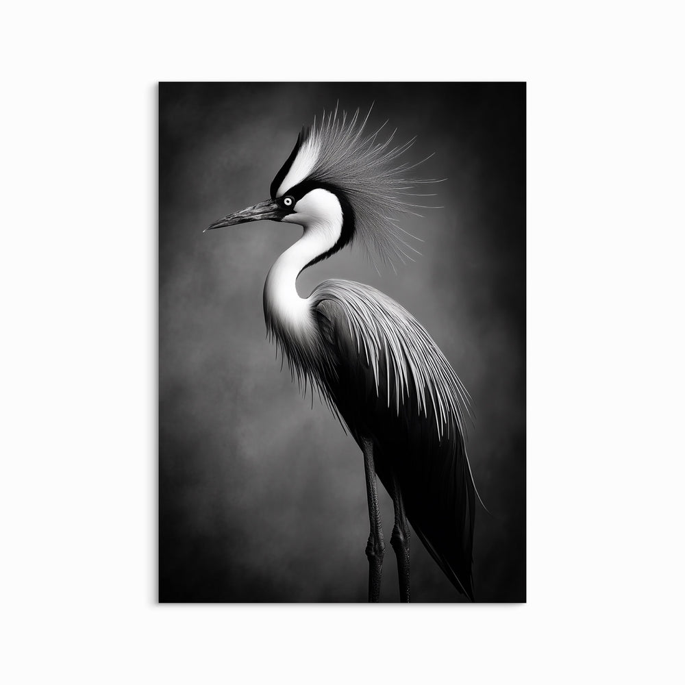 Graceful Heron