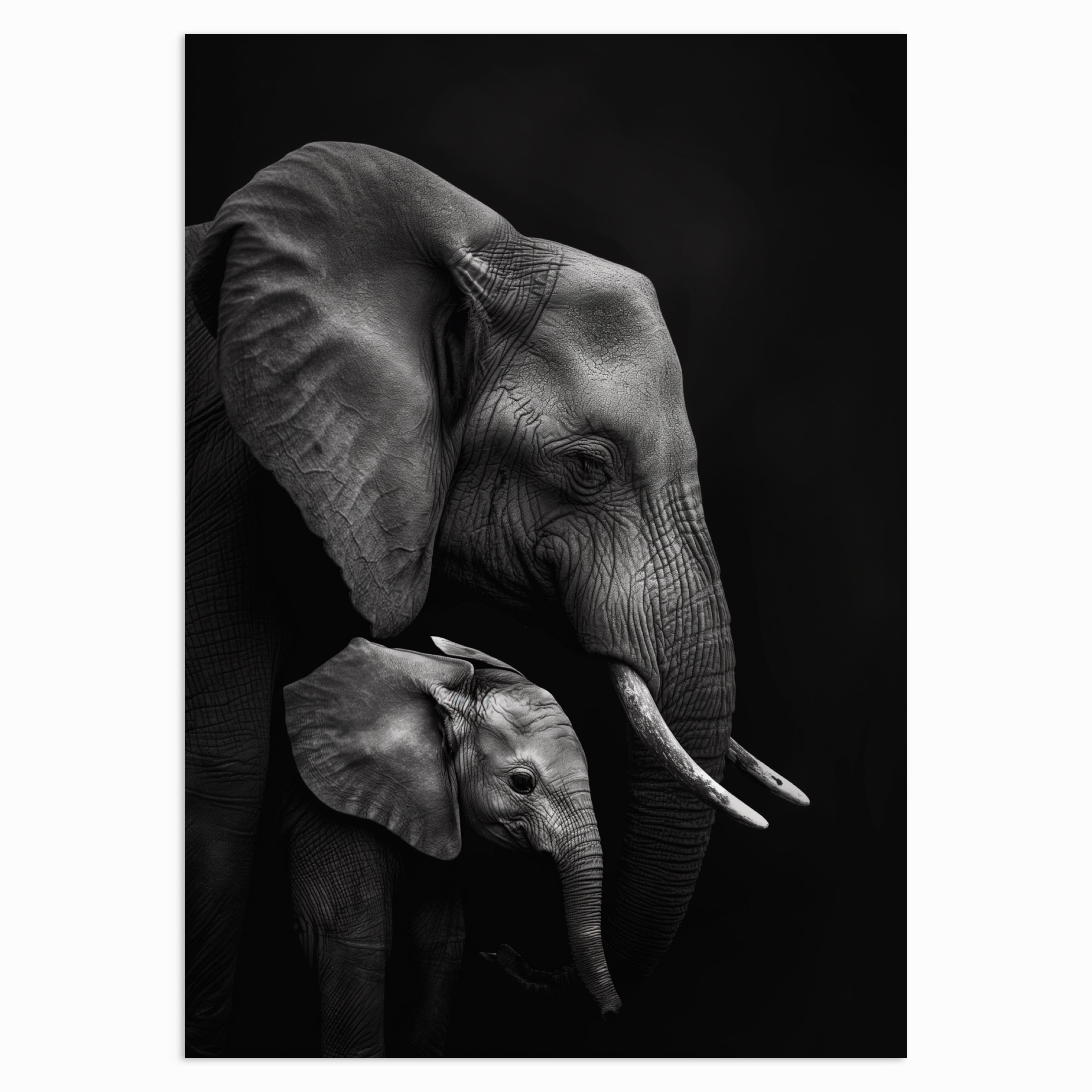 Elephant Bond