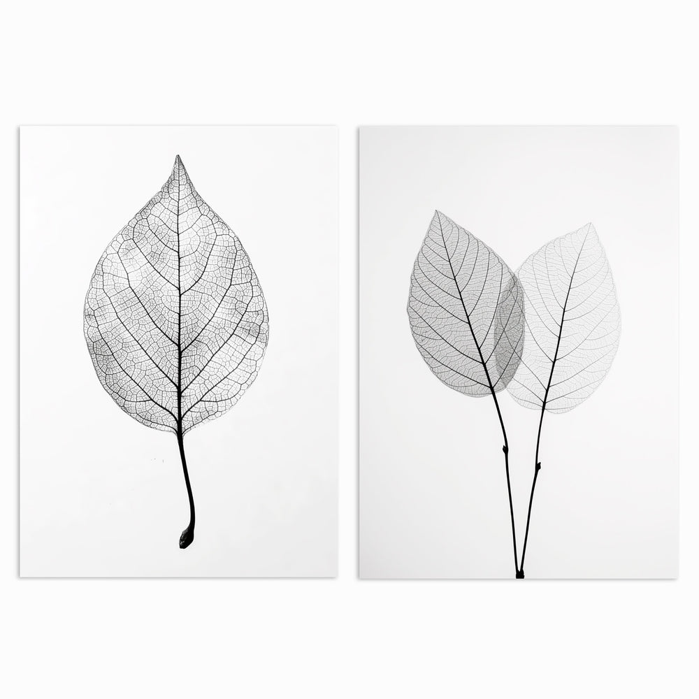 Whispers of Nature Set