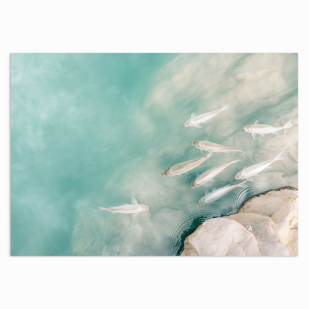 Whispering Waters