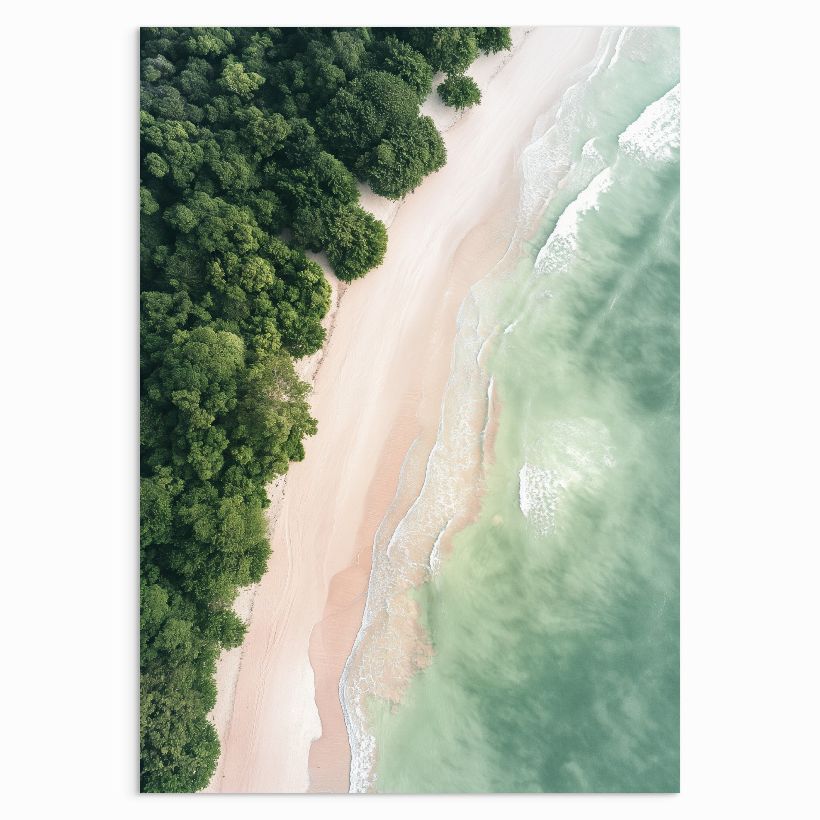 Whispers of the Coastline