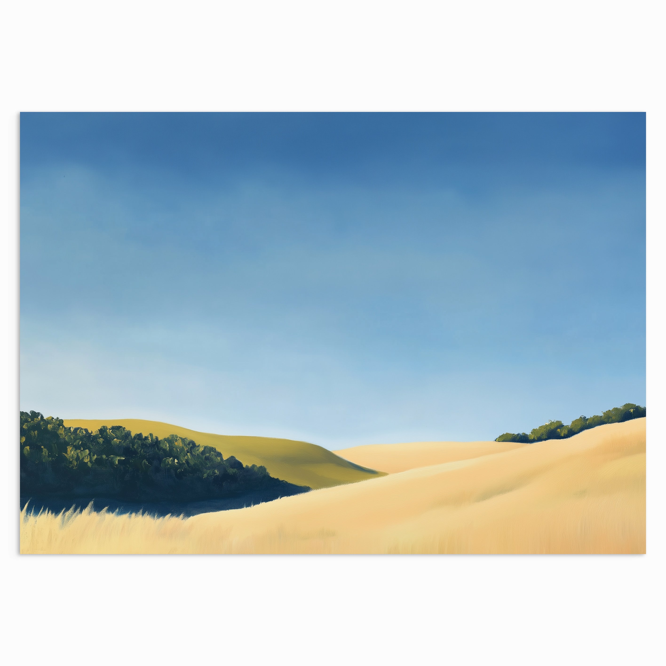 Fields of Quiet Light