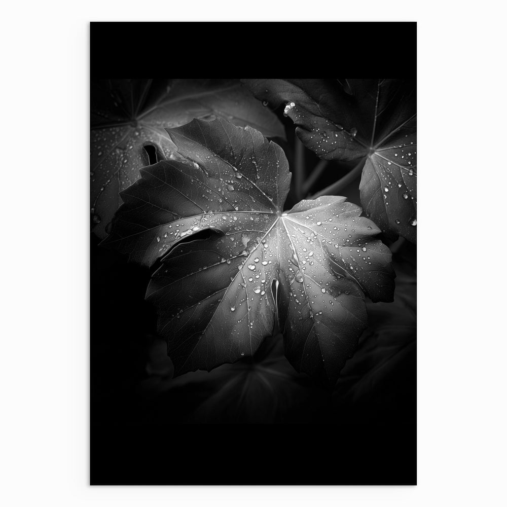 After Rain