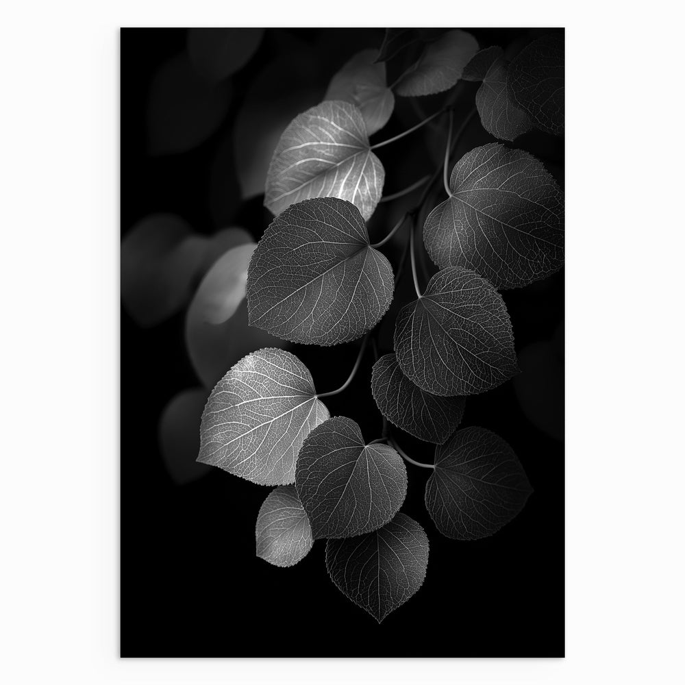 Quiet Growth
