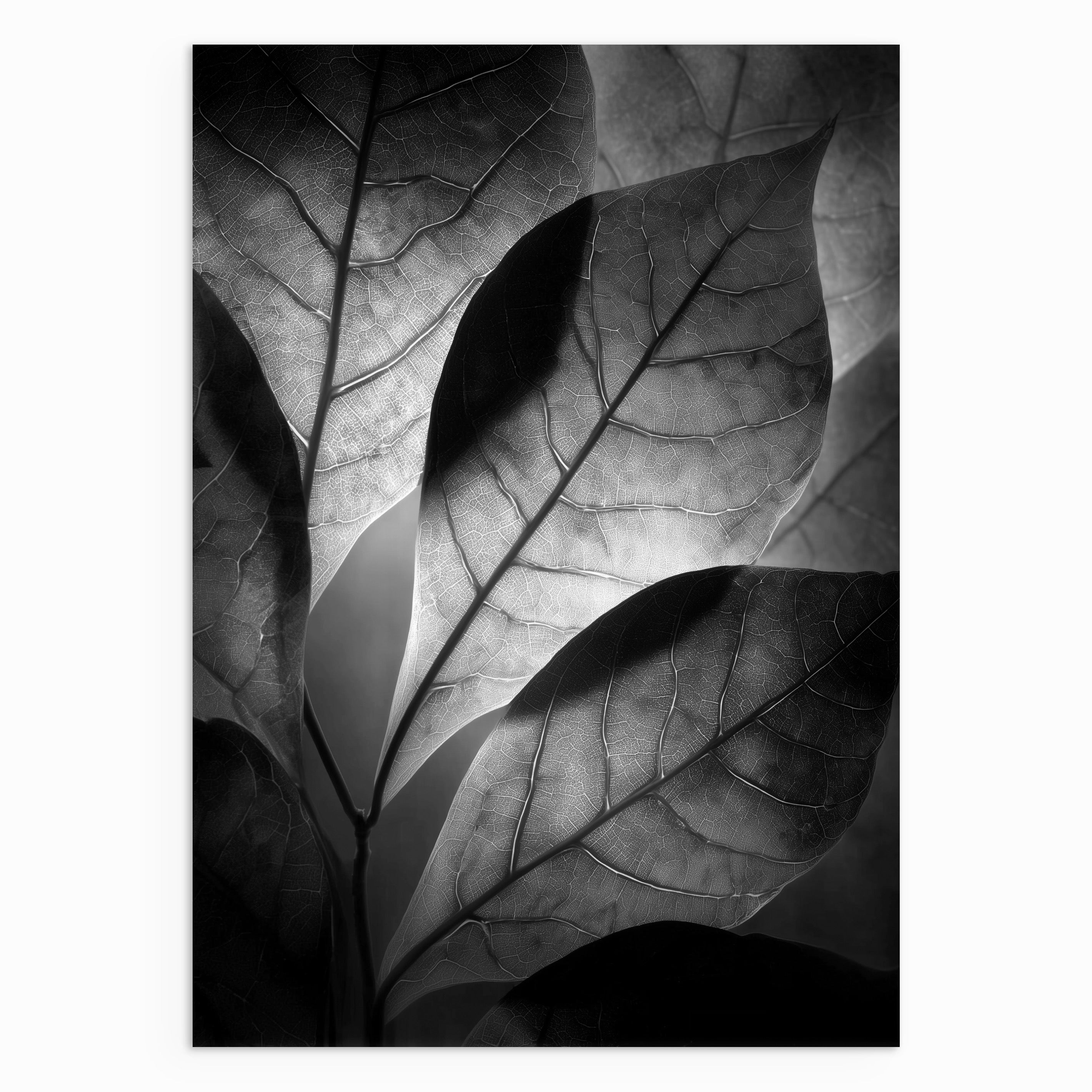 Veins of Light