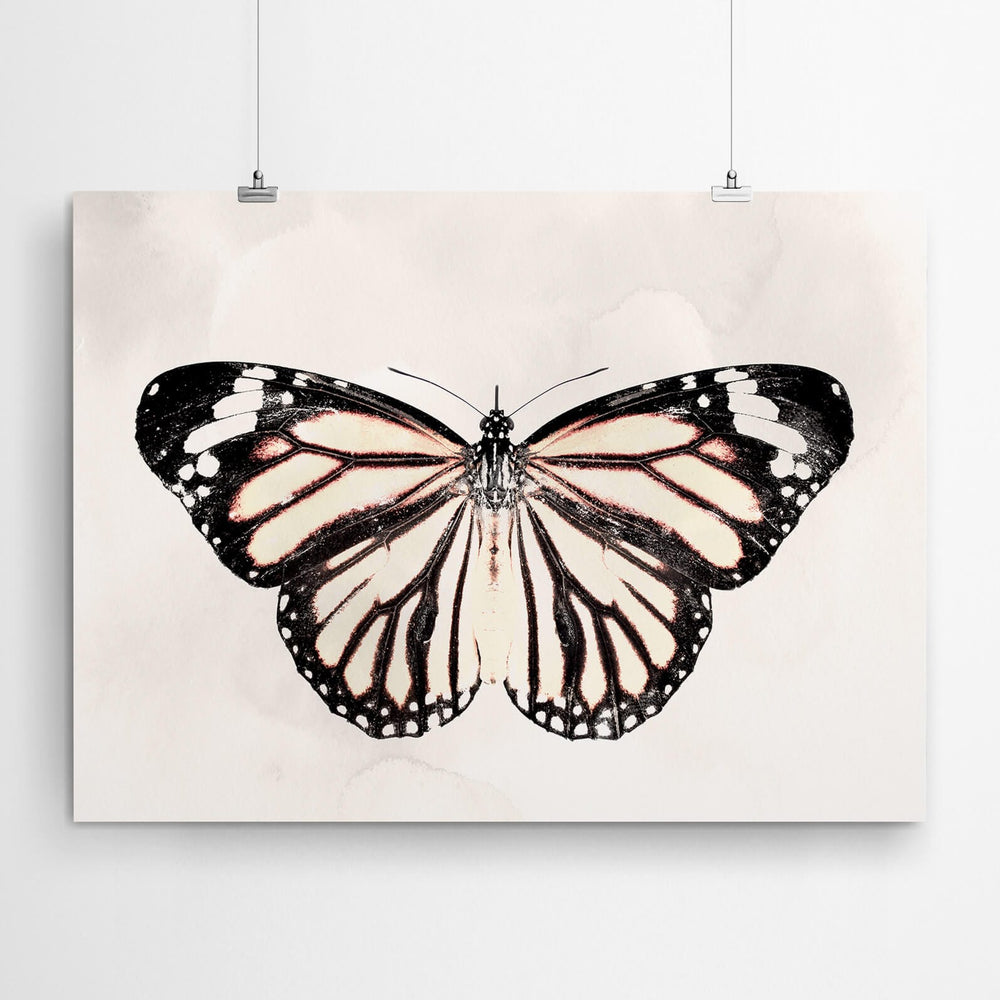 African Monarch Wall Art Canvas Print