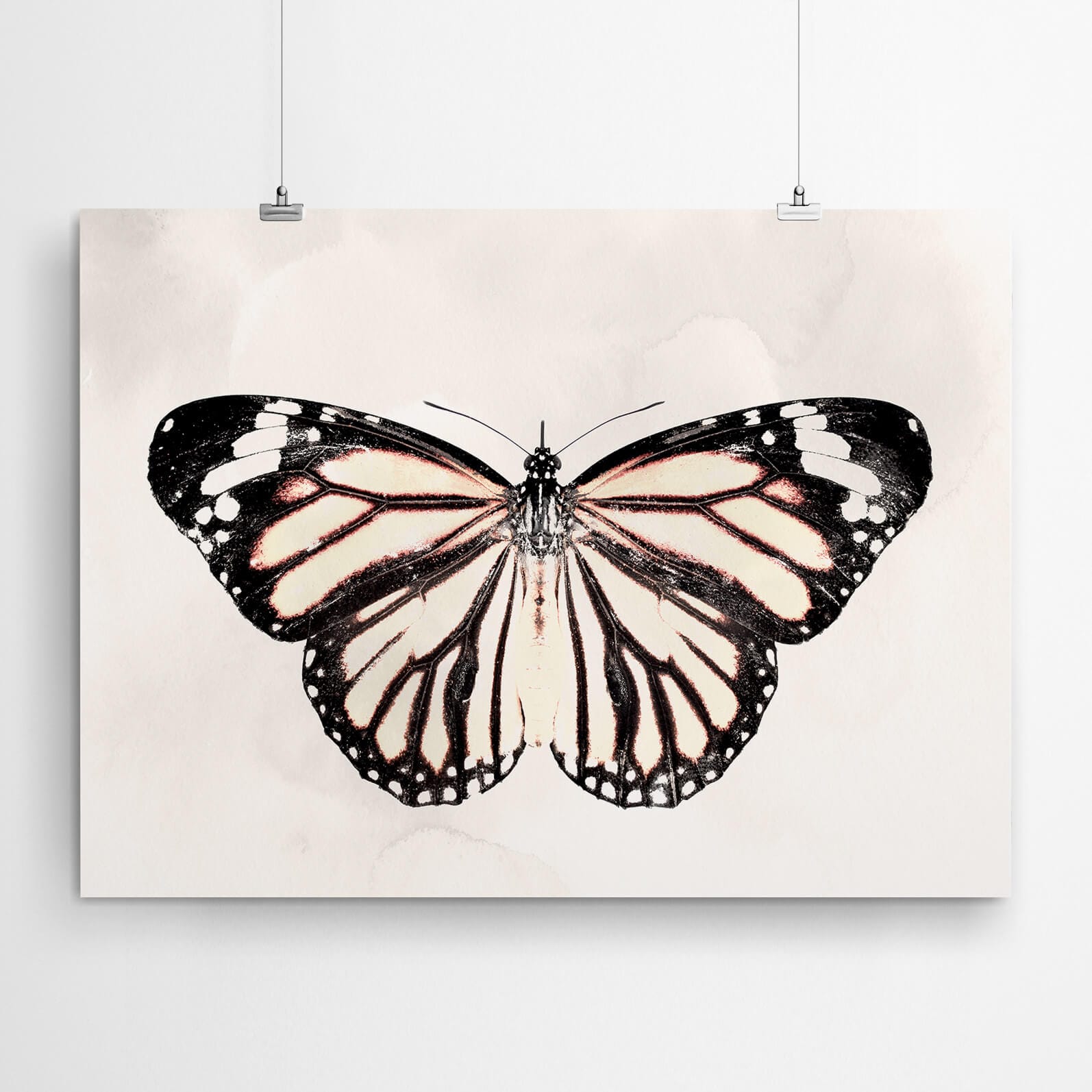 African Monarch Wall Art Canvas Print