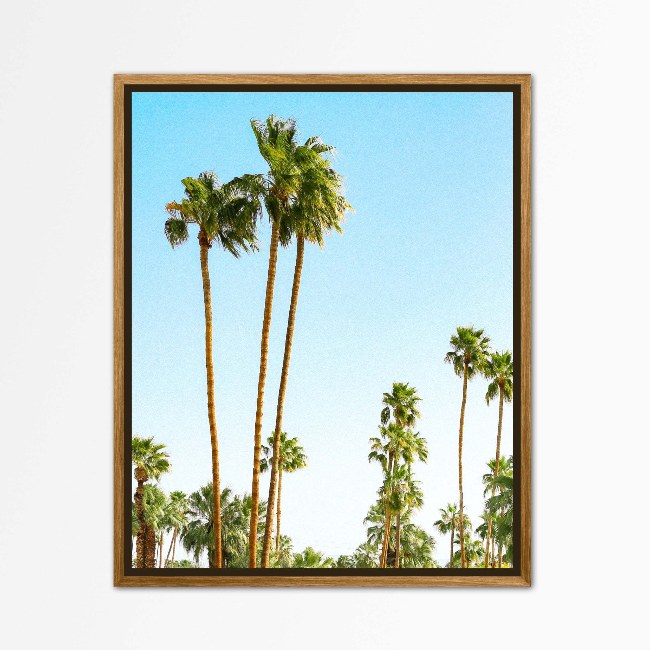 Beach Palm Wall Art