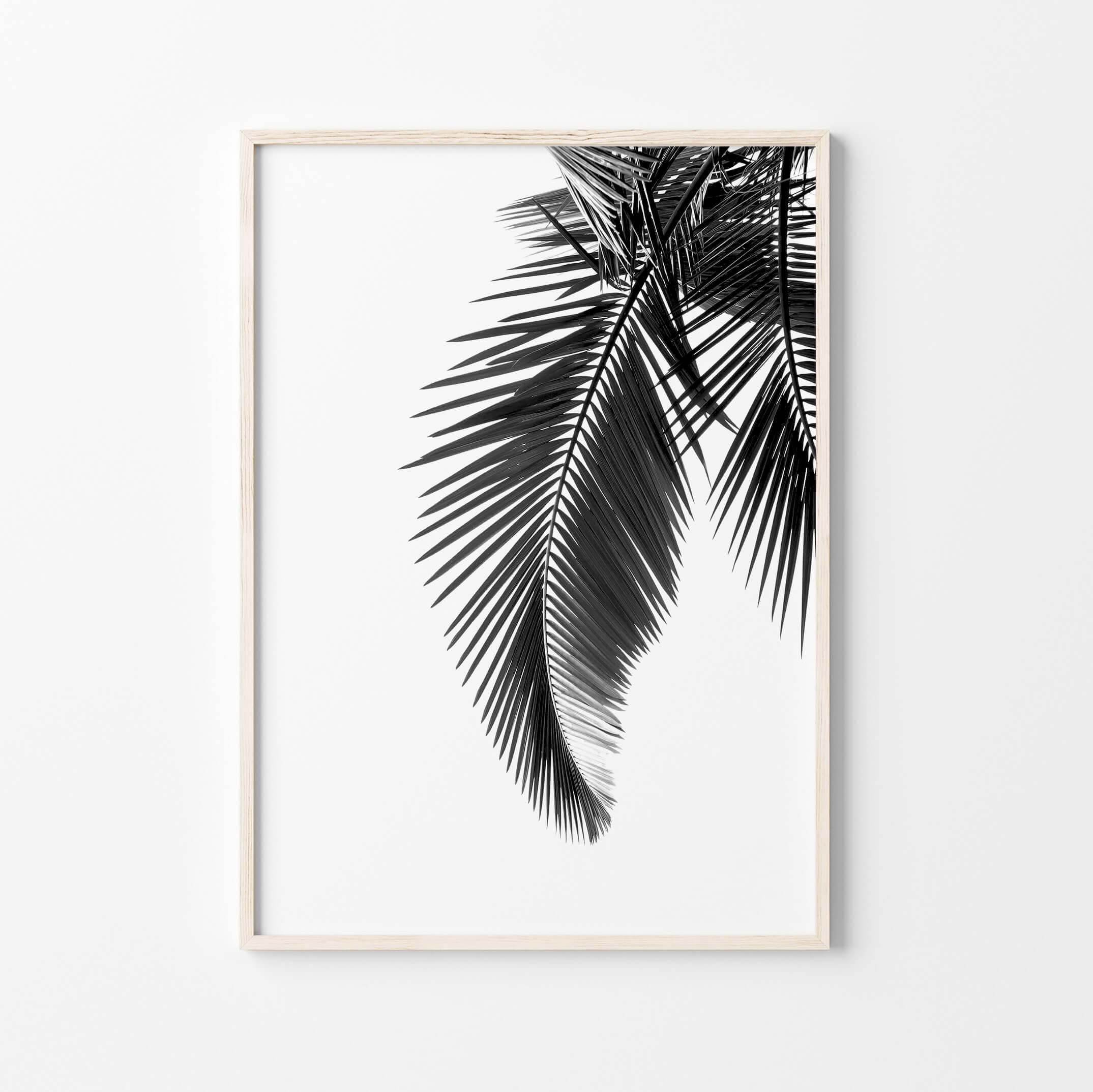 Black and white Palm Leaf Wall Art Print