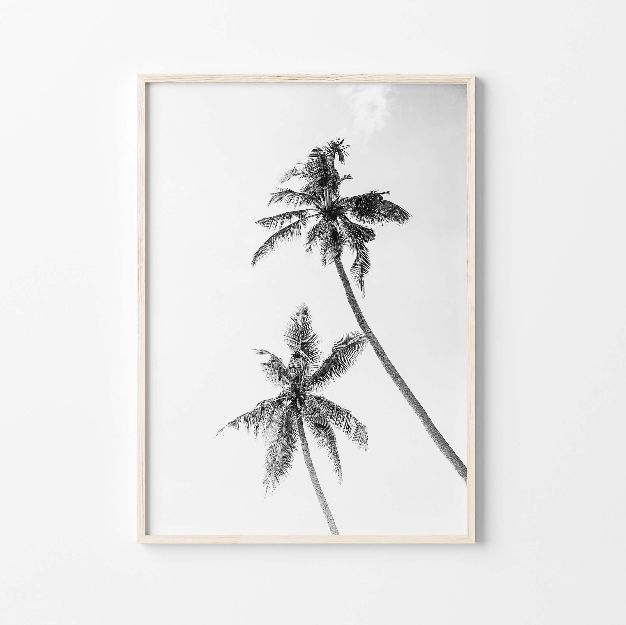 Black and White Palm Print