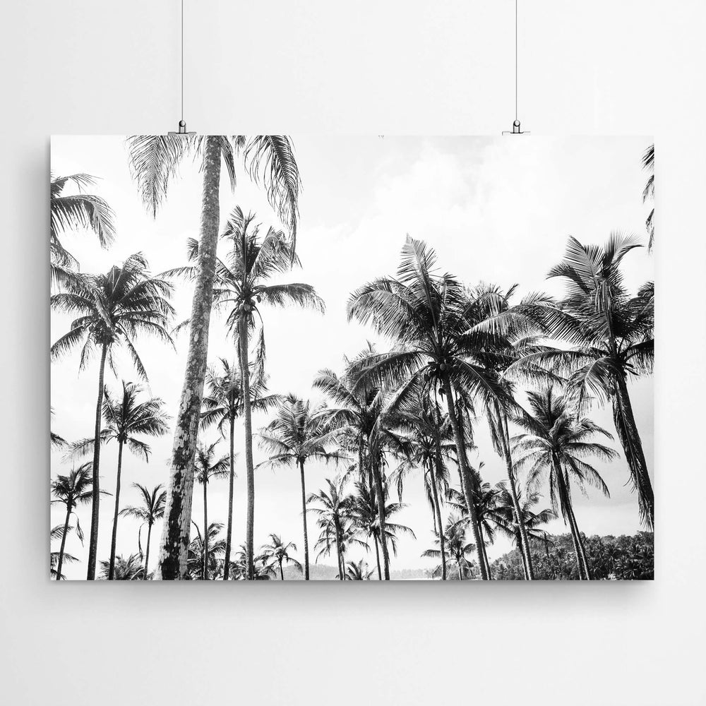 Black and White Photography Print