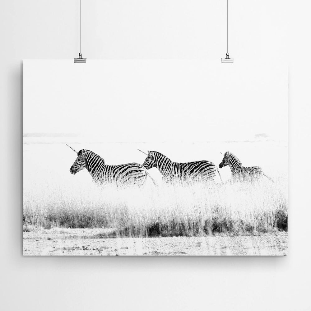 Black & White Zebra Unicorns Wall Art