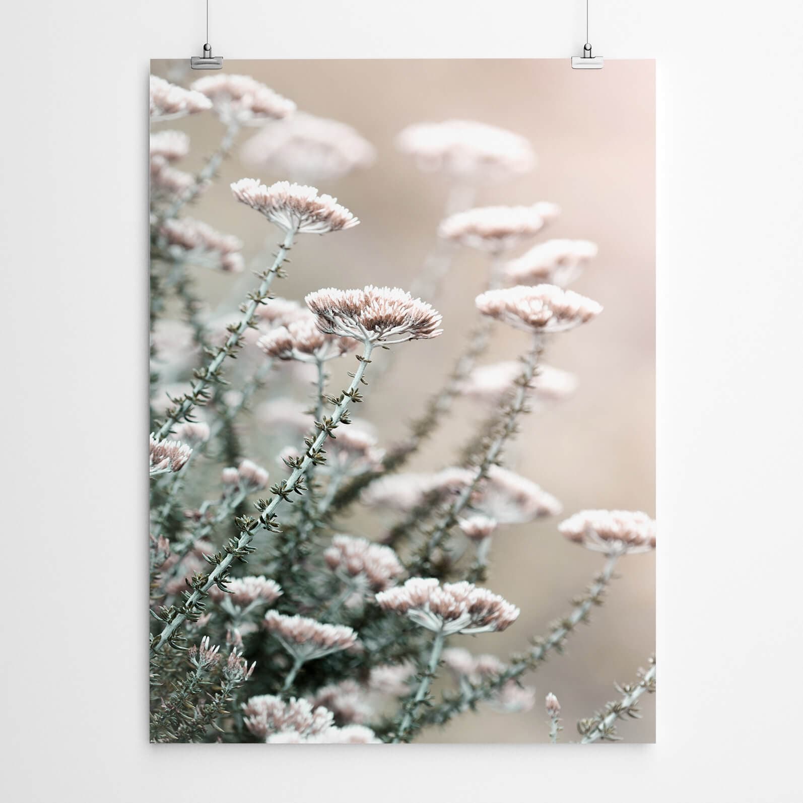 Blombos Fynbos Wall Art Prints