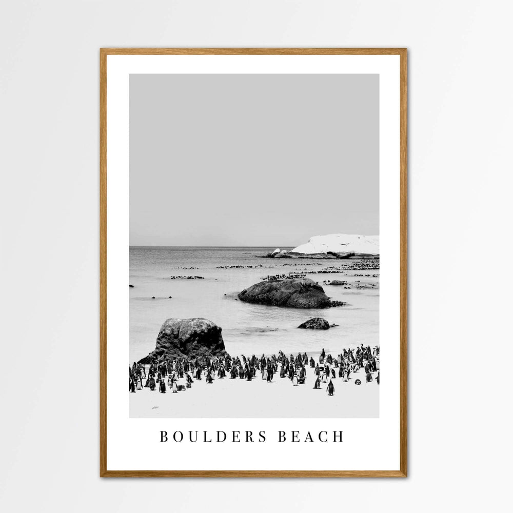 Boulders Beach Canvas Wall Art