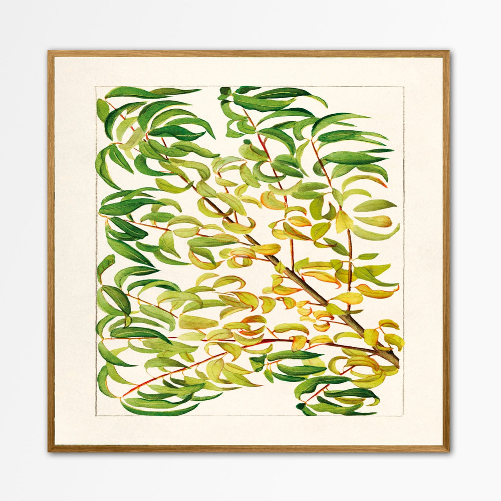 Branch of Peach Wall Art