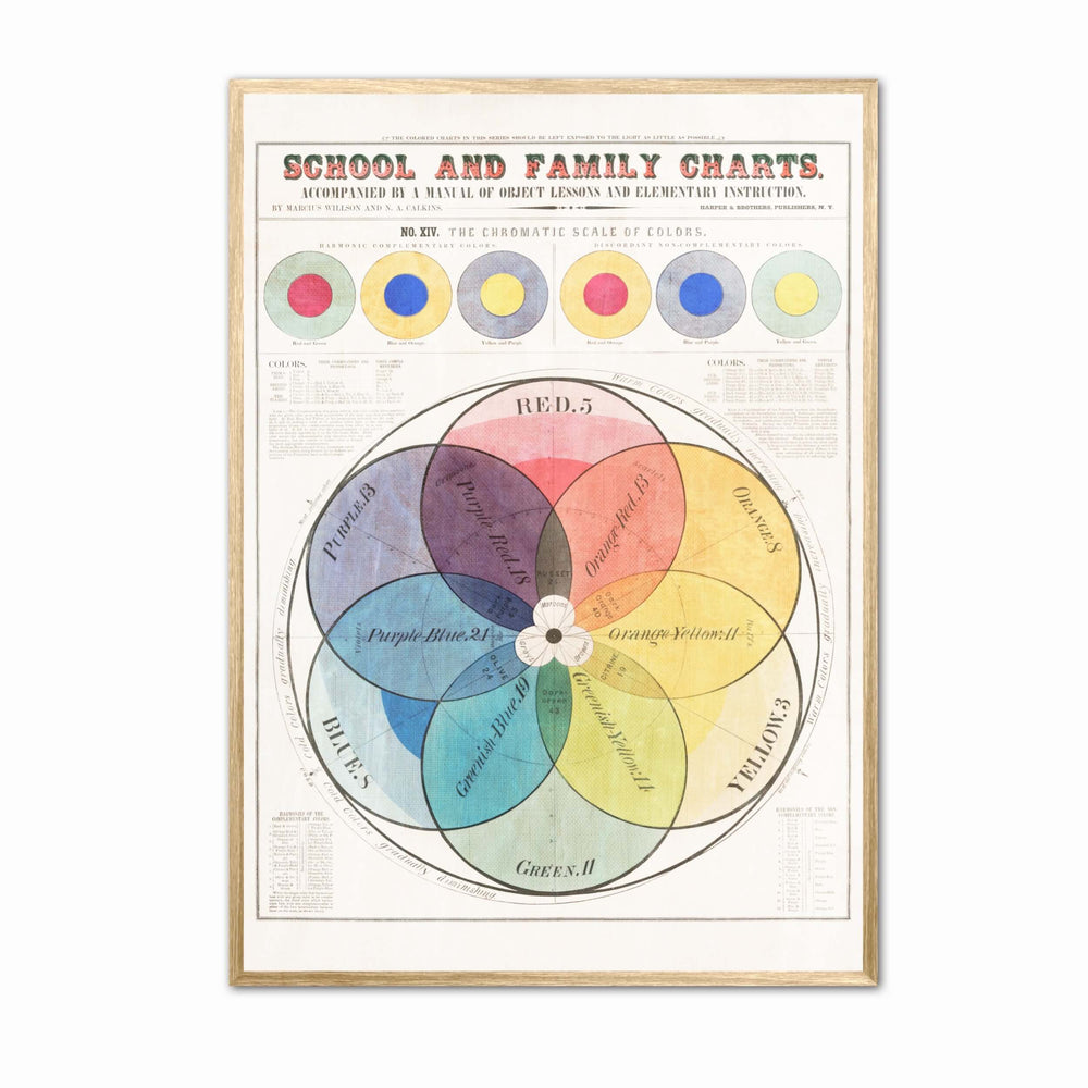 Colour Wheel Information Poster