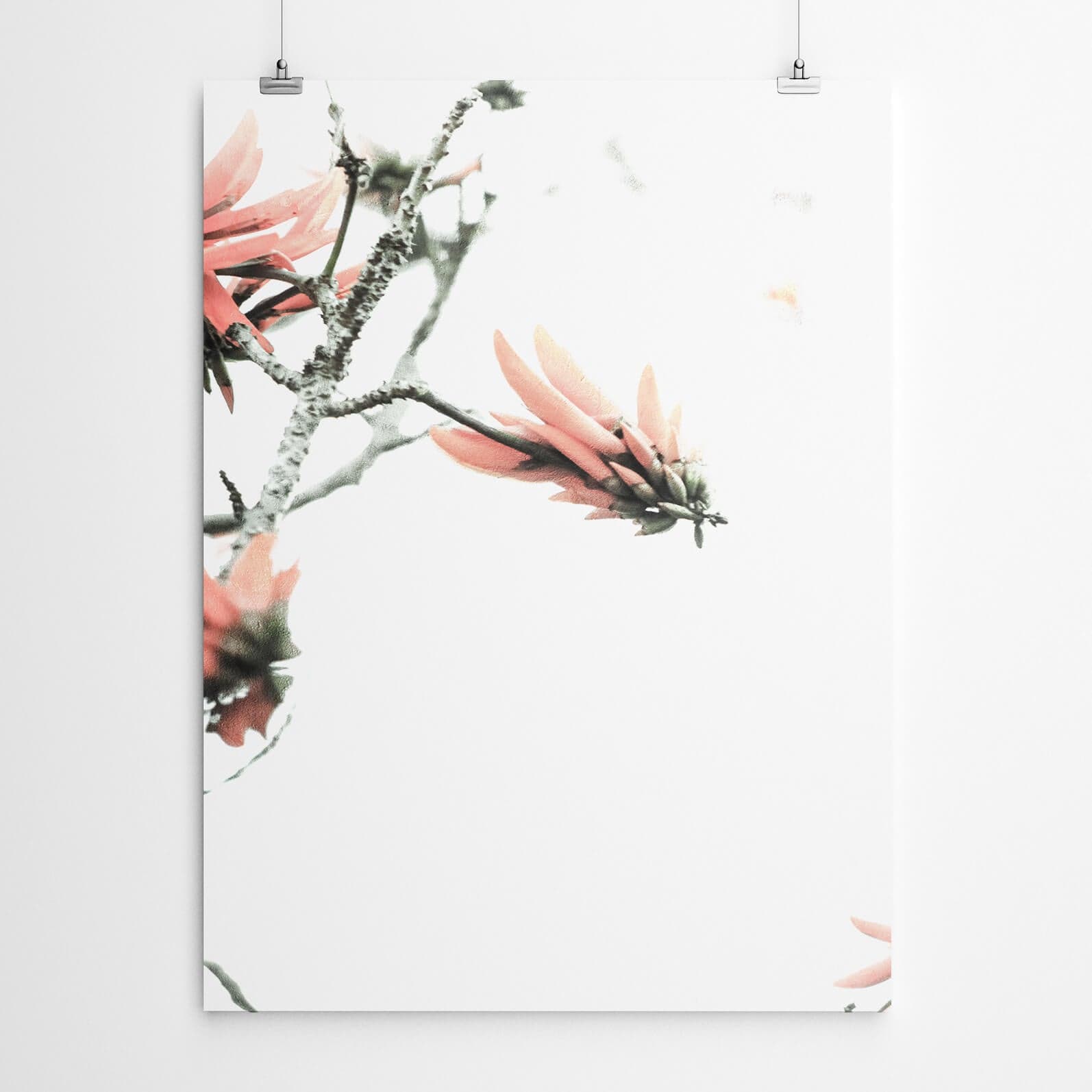 Coral Tree Art Print