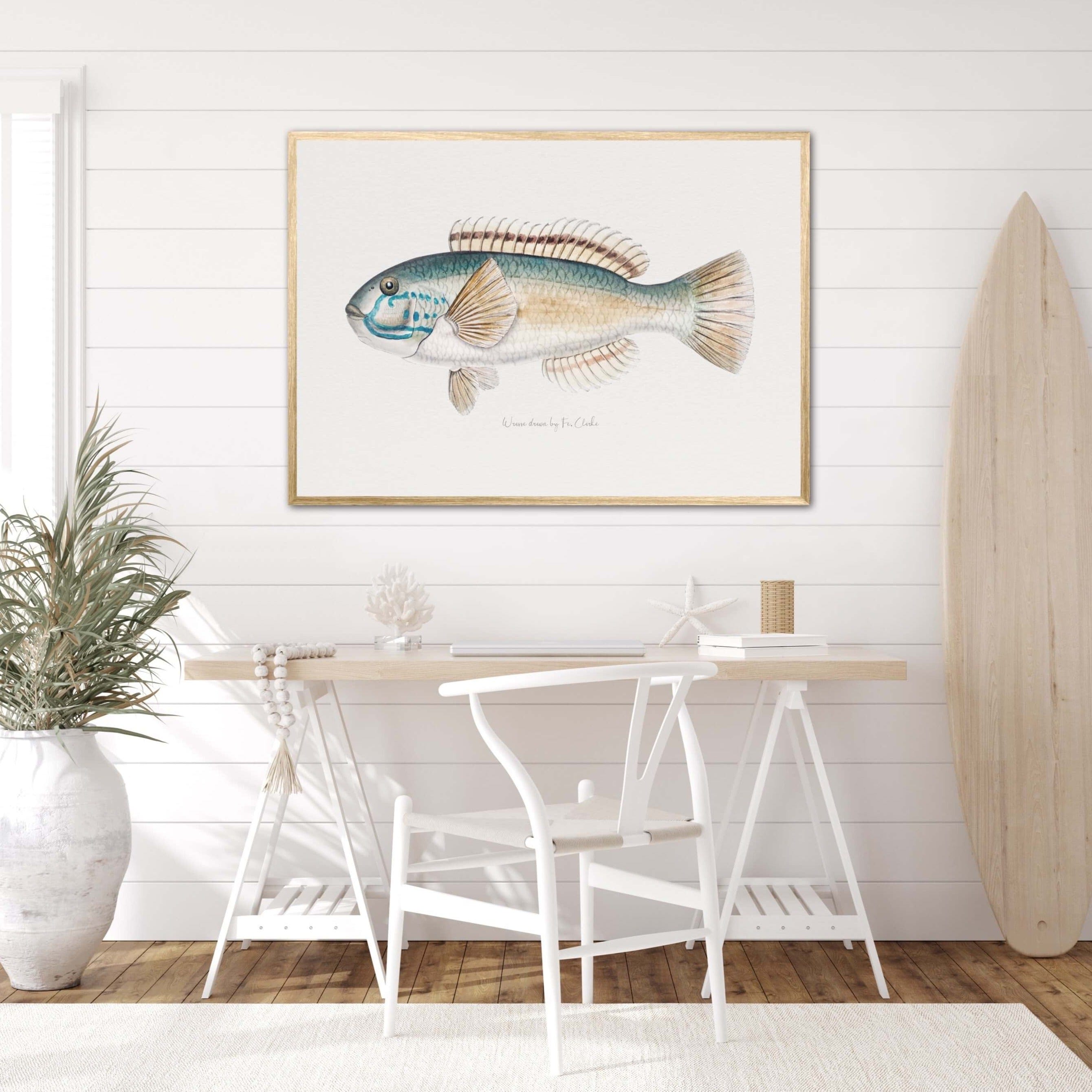 Fish Wall Art