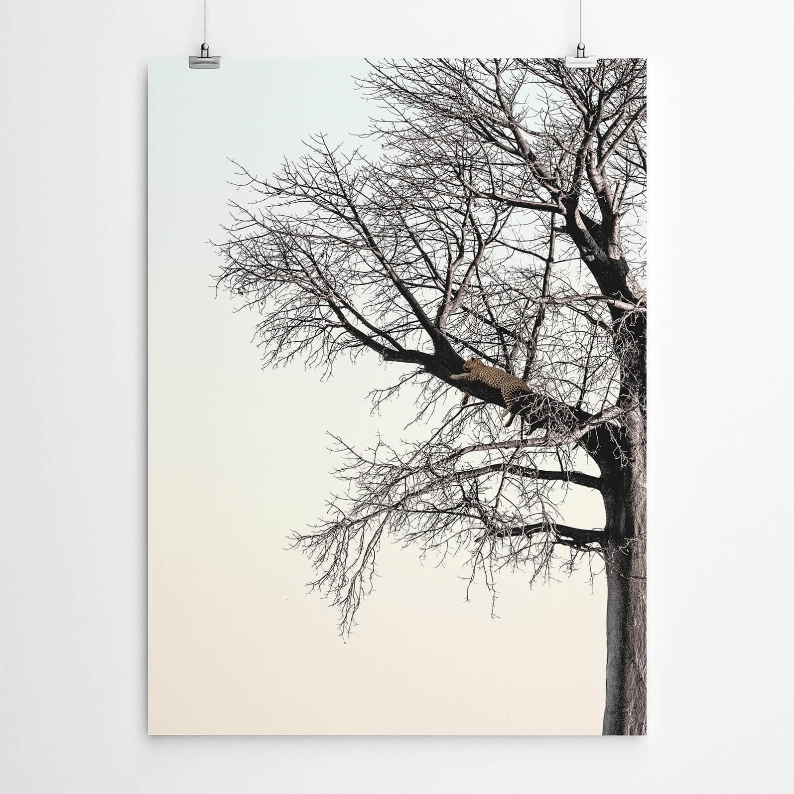 Leopard in a Big Tree Wall Art Print