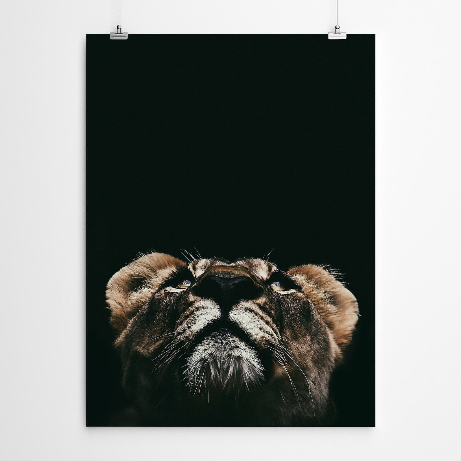 Lioness Wall Art Canvas Print