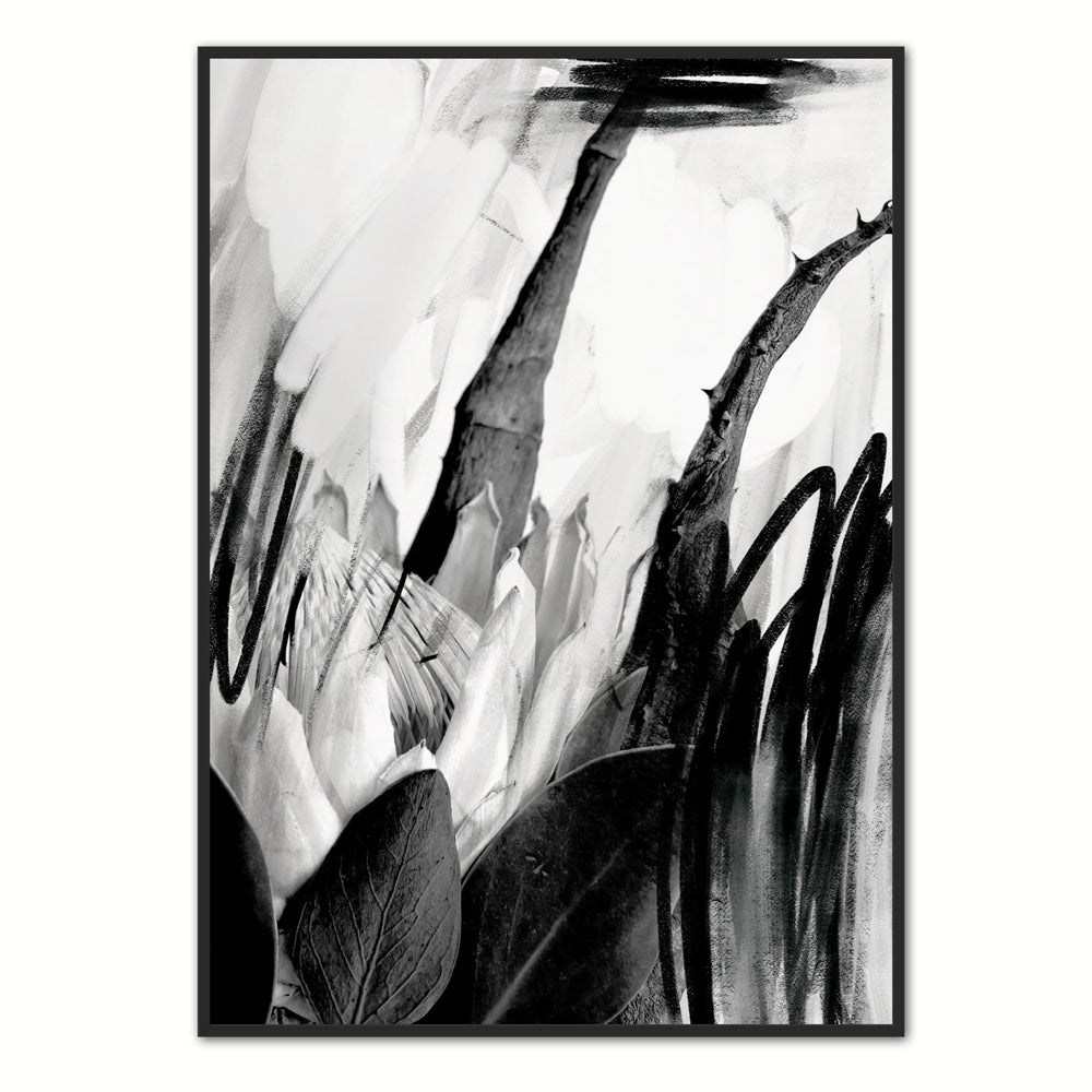 Monochrome Protea Wall Art
