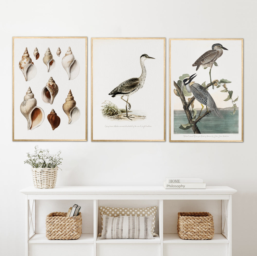 Nature Illustration