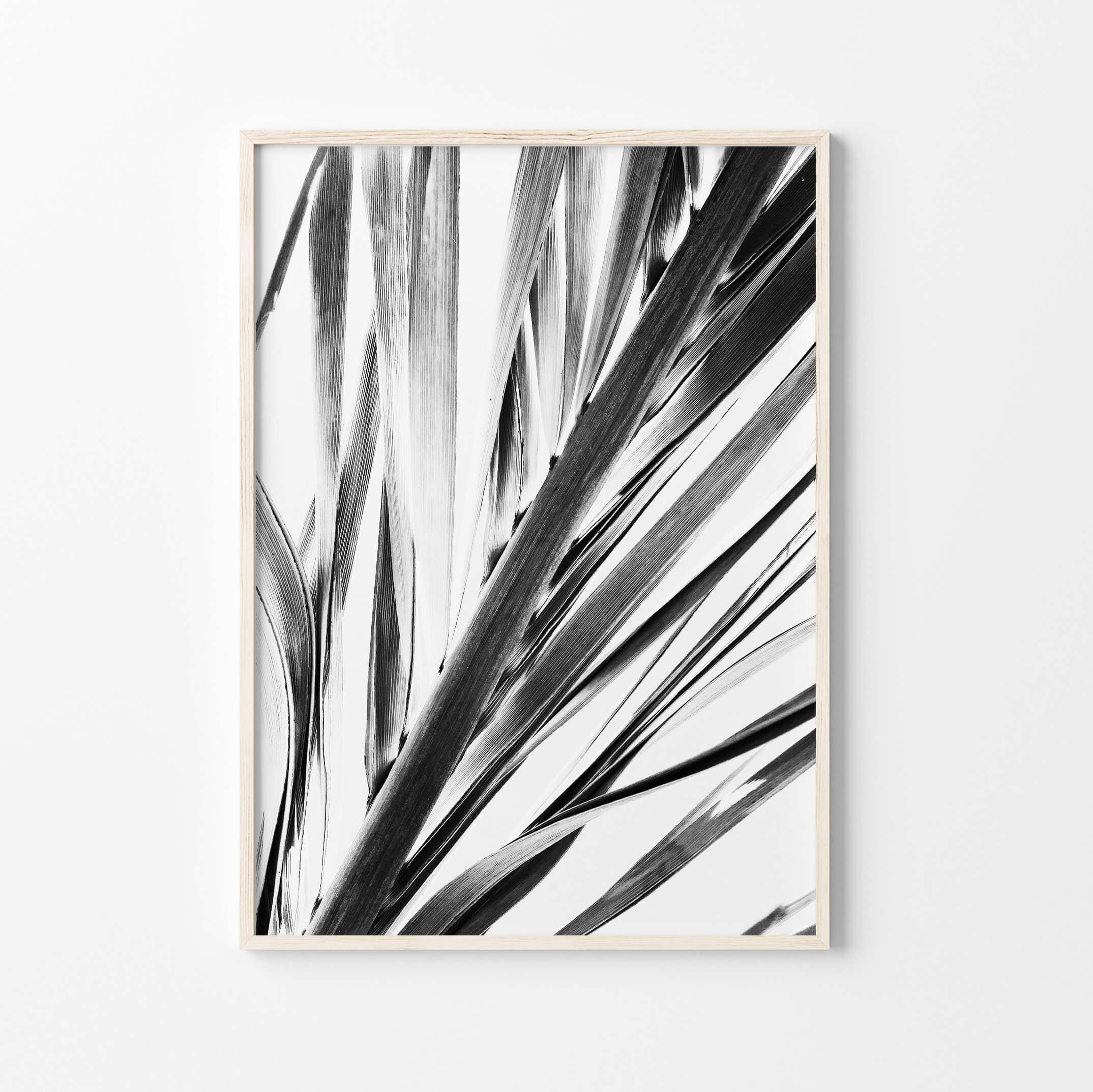 Palm Leaf Wall Art Black And White