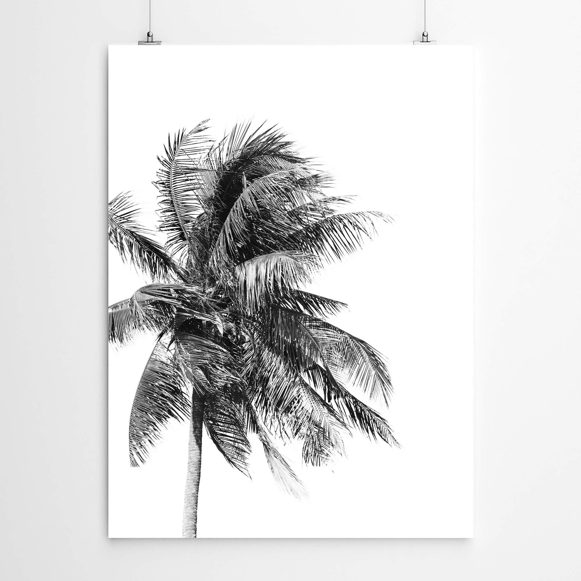 Palm Tree Wall Art Print