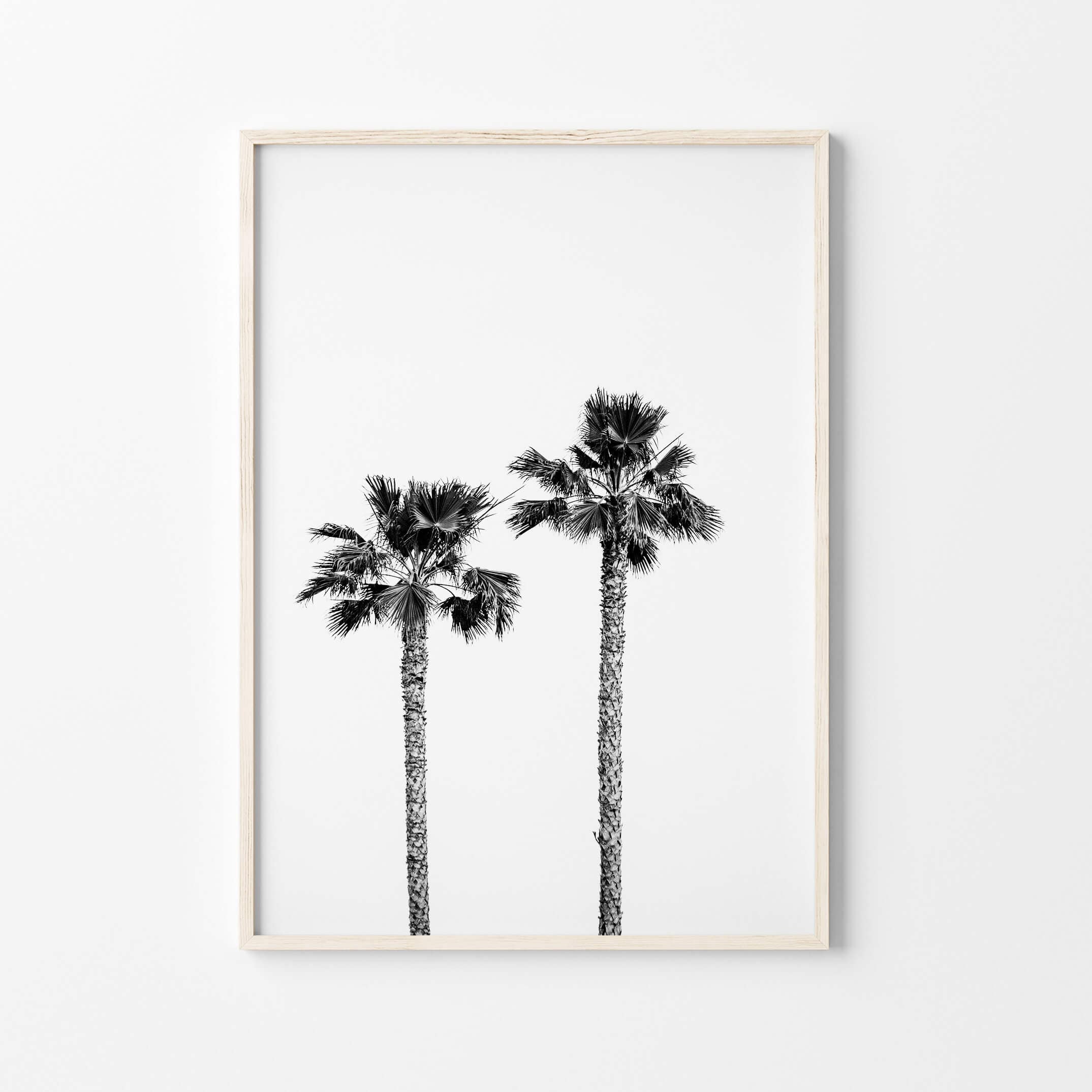 Palm Wall Art