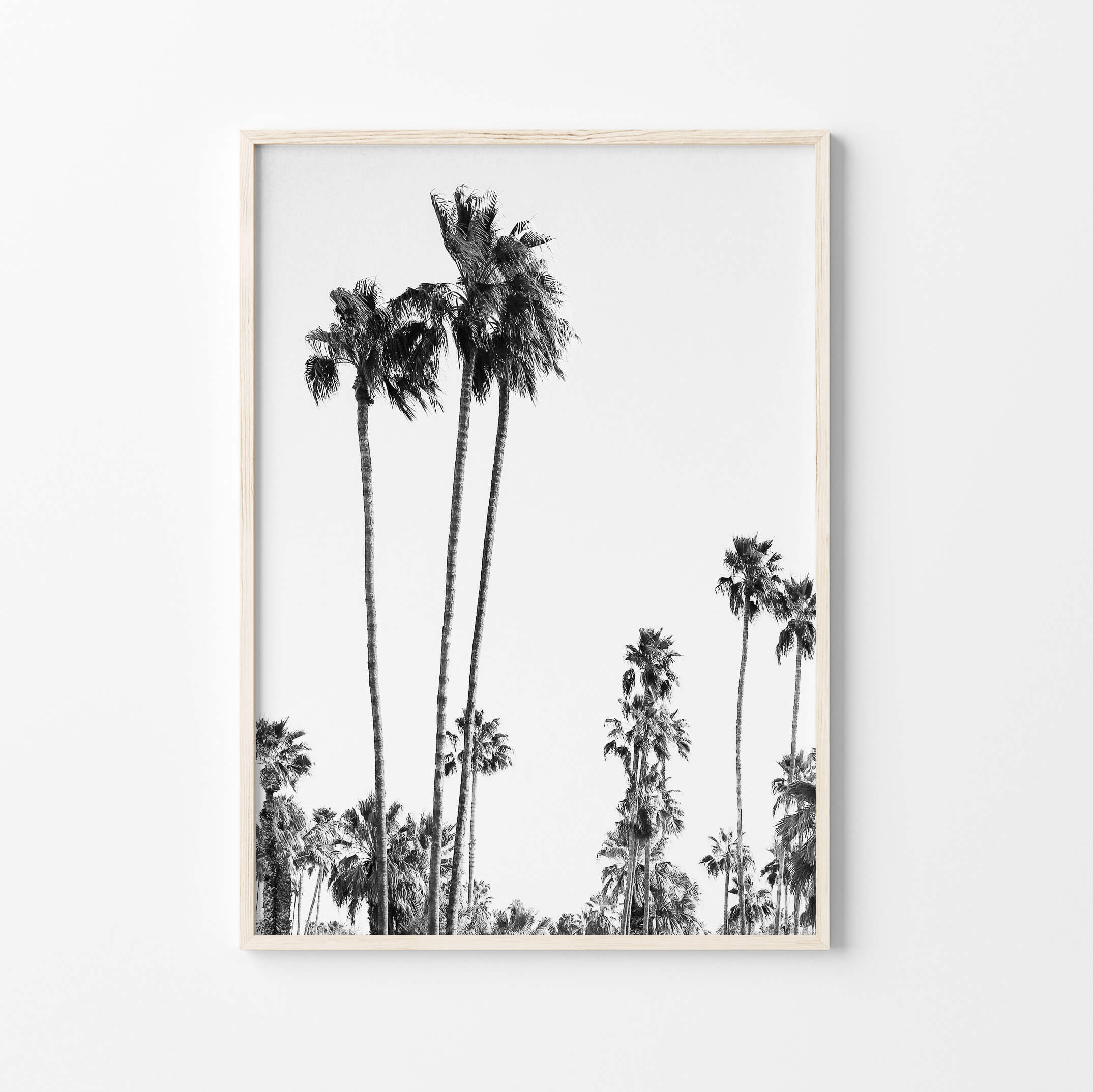 Palms Wall Art Print