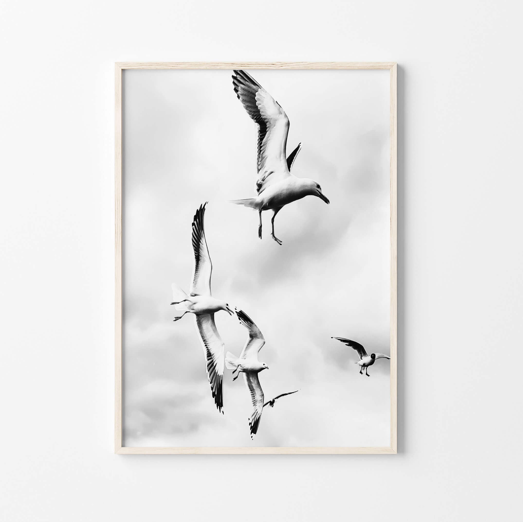 Seagulls wall art print