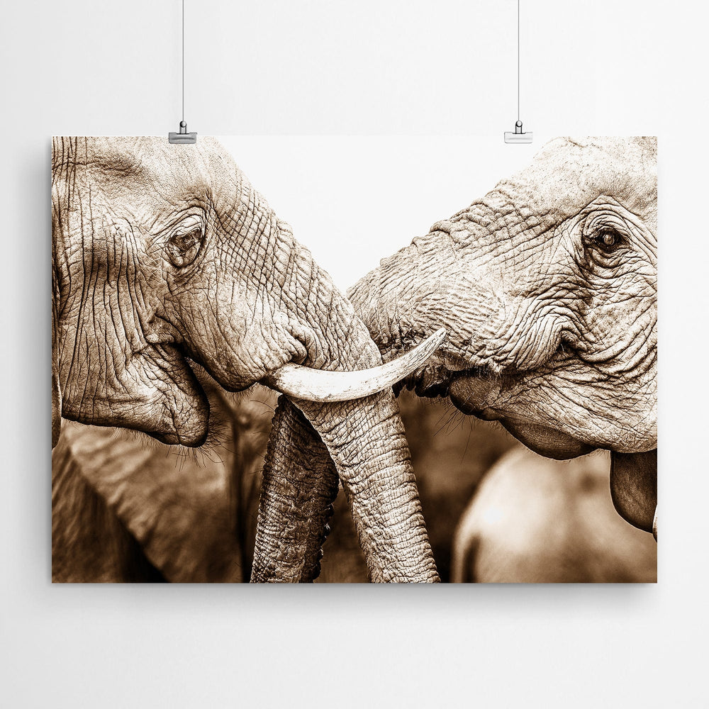 Sepia African Elephant Art Print