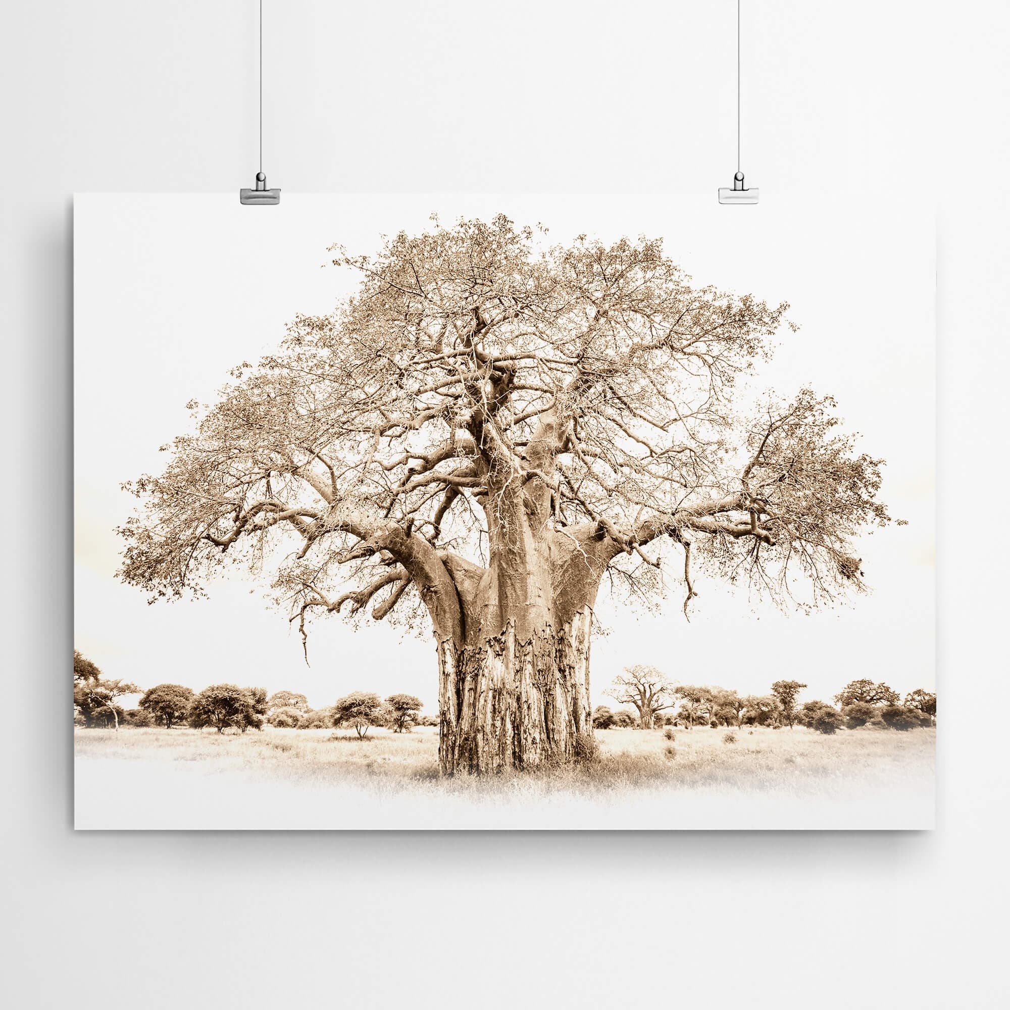 Sepia Baobab Wall Art Print
