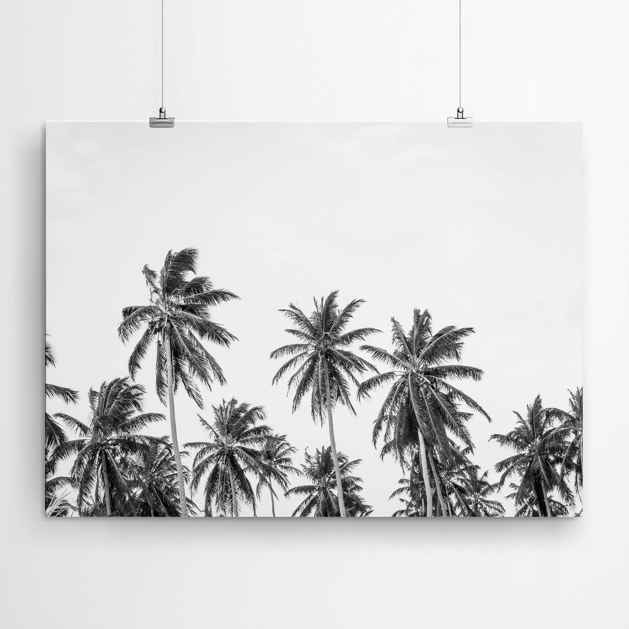 White and Black Palm Wall Art